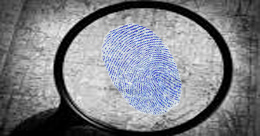 Describe the photo or the page it links to